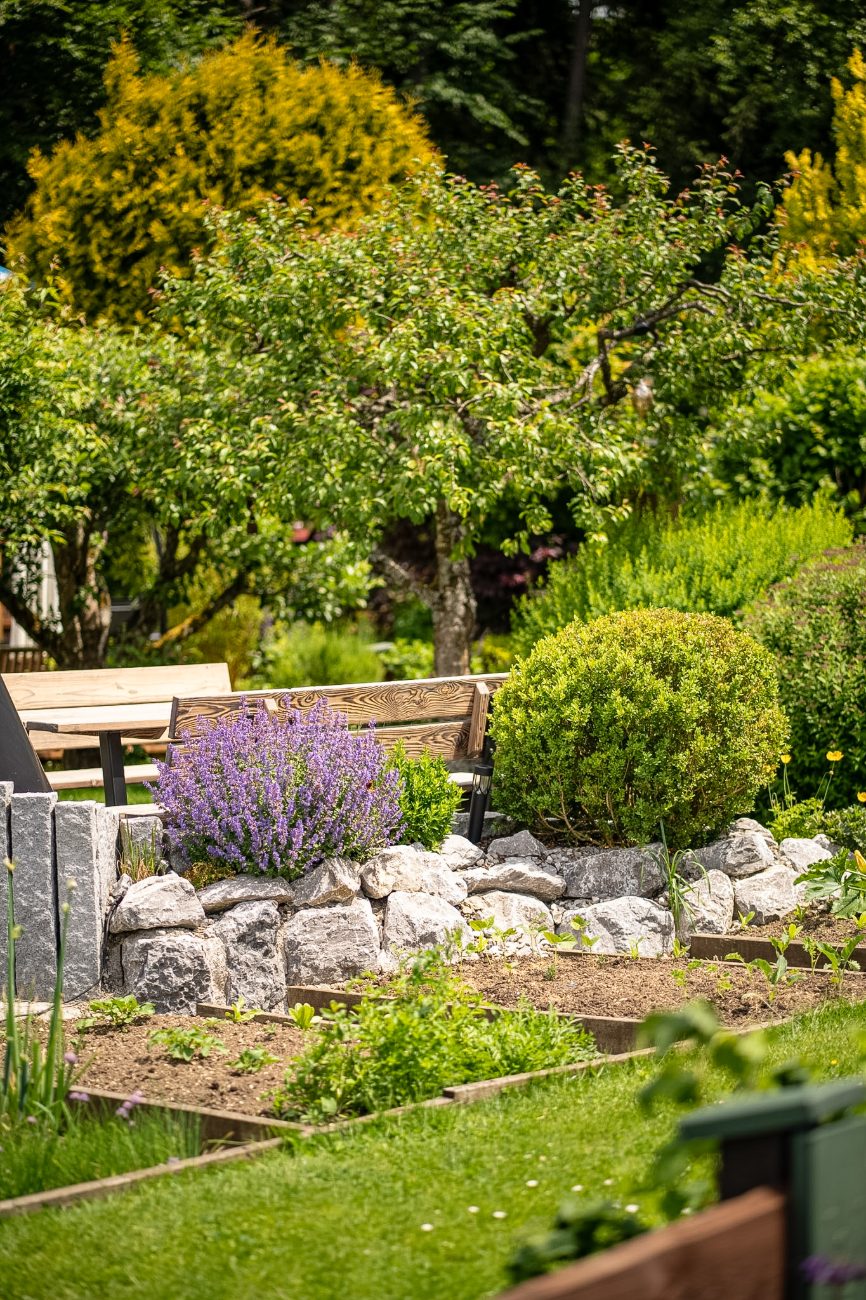 Sitzplatz mit Lavendel und Trockenmauer in einem Garten der Alte Au