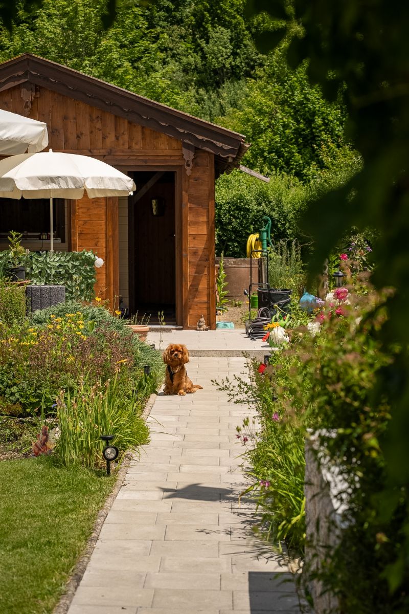 Hund sitzt auf einem Plattenweg vor einer Gartenlaube