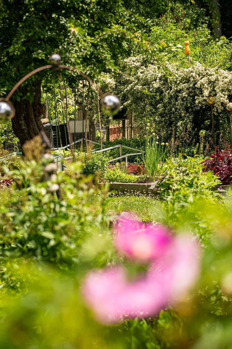 Garten mit Rosenkugeln und blühenden Stauden