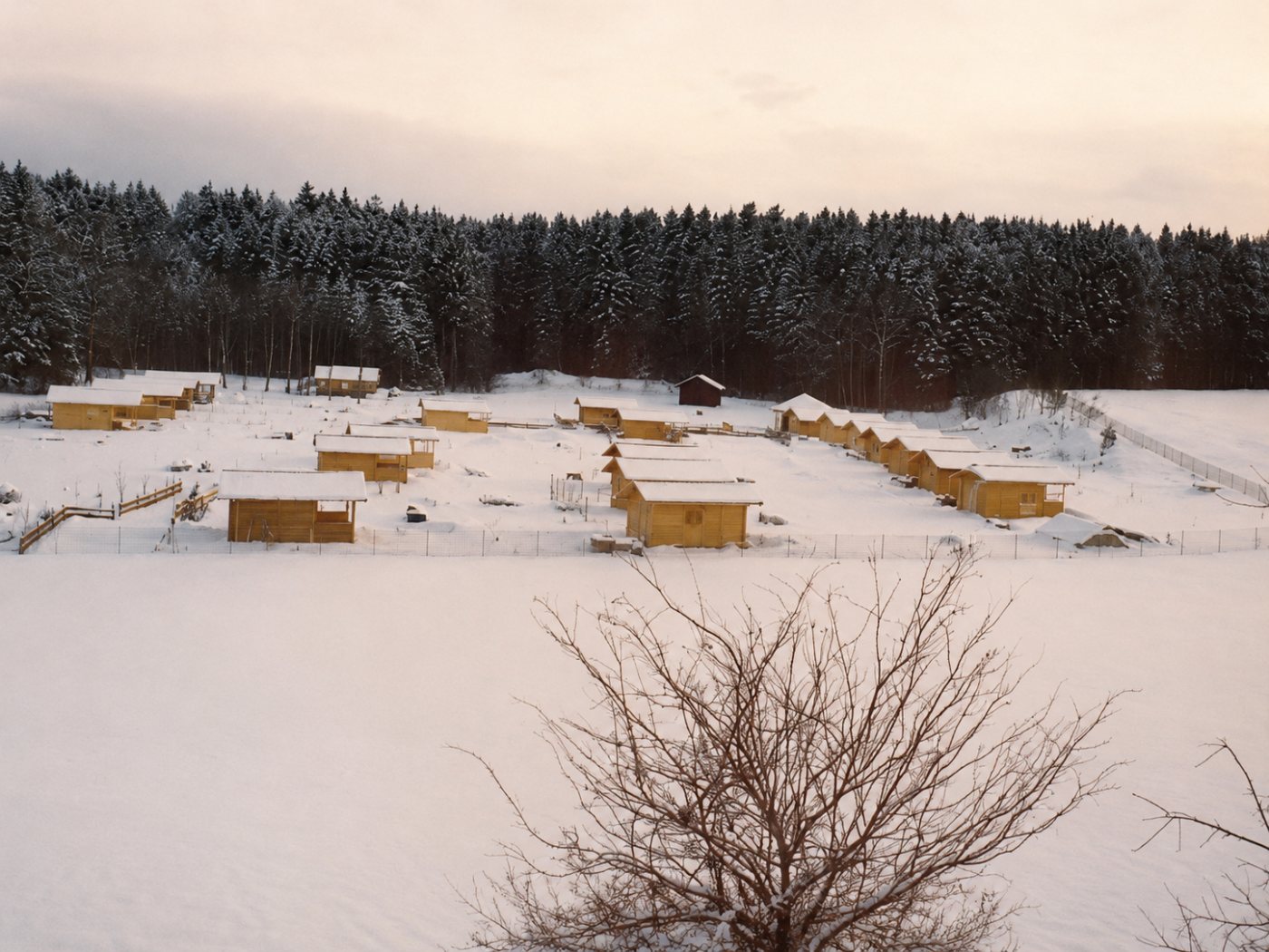 Verschneite Anlage im rosa Abendlicht